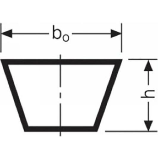 conti_5l0630_2