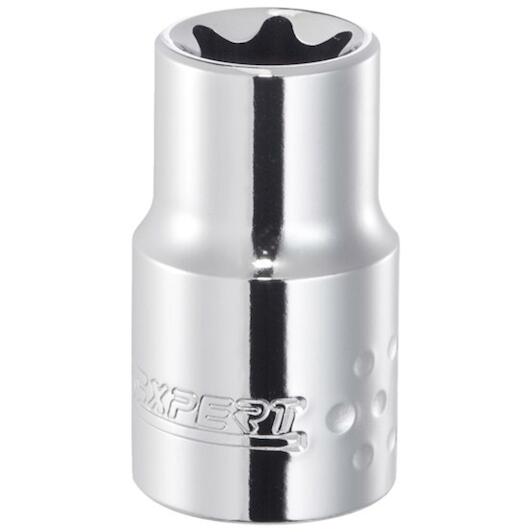 expert_e031932