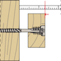 fischer_558883_11