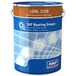 skf_lgnl218