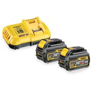 dewalt_dcb118t2_qw