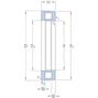 skf_81209tn_2