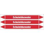 brady_n004006