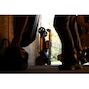 dewalt_dcmwsp156n_xj_16