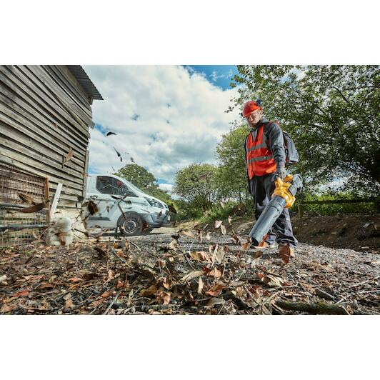dewalt_dcmba572x1_qw