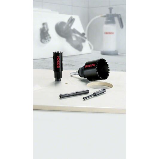 bosch_2608580309