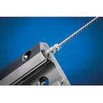 pferd_43679084_3