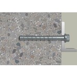fischer_536861_7
