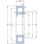 skf_nup219ecp_2