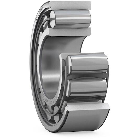 skf_c2215