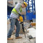 dewalt_d25960k_qs