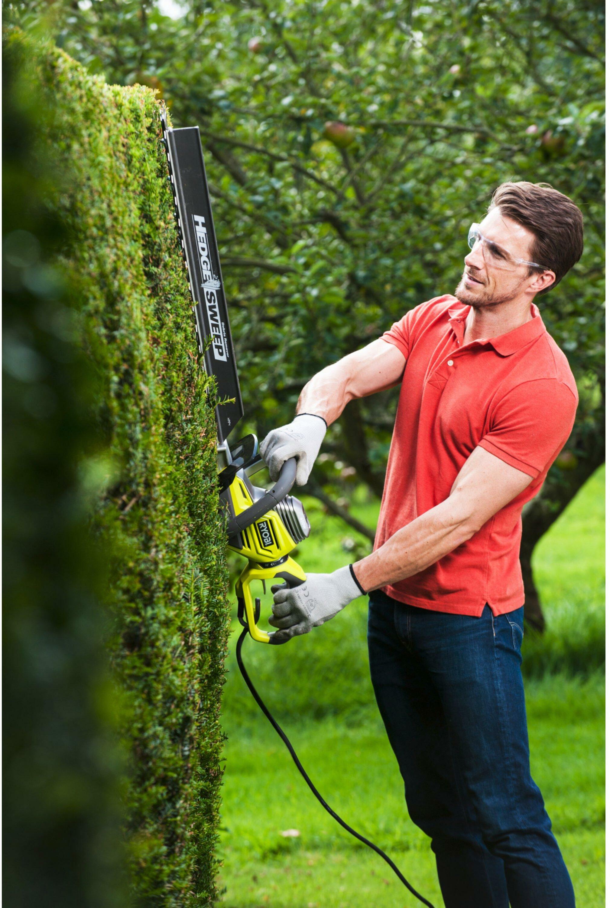 Ryobi 650w hedge trimmer review sale