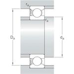 skf_6010_rs1_3