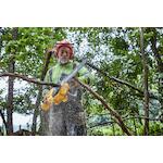 dewalt_dcmcs575x1_qw_3