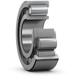 skf_nj2004evc3