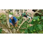 bosch_06008b3100