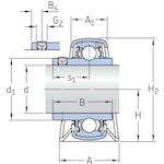 skf_p20tf_2