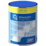 skf_lgmt21