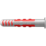 fischer_557728_2