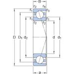 skf_7204cdp4a_2