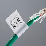 brady_110895_2