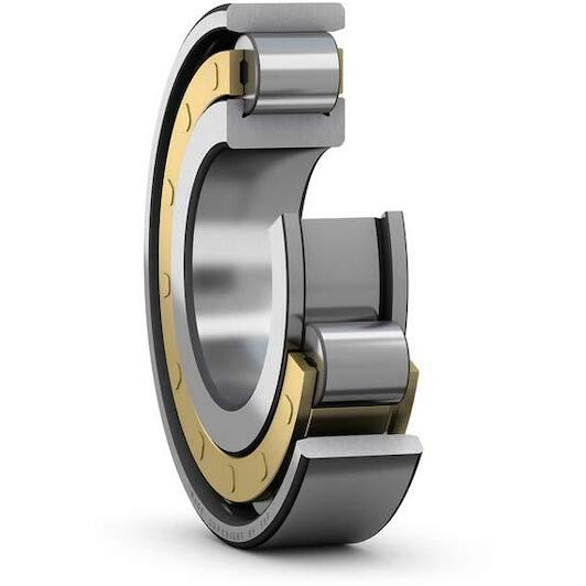 skf_n313ecm