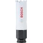 bosch_2608594199