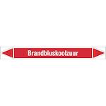brady_n003992