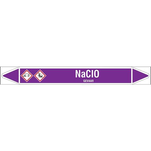 brady_n003896