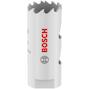 bosch_2608594562