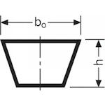 conti_170x6480_2