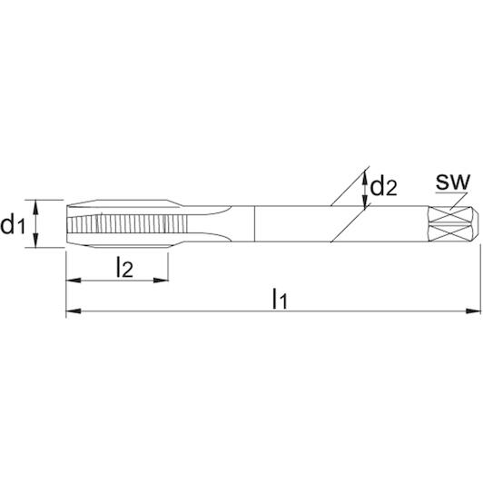 phantom_255002096_2