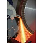 pferd_45005724_2