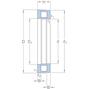 skf_81126tn_2