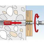 fischer_535463_6