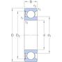 skf_6208_rs1_2
