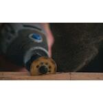dremel_2615054265
