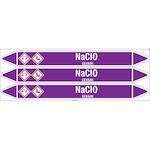 brady_n003891