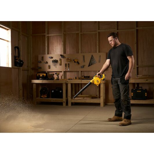 dewalt_dcv100_xj_6