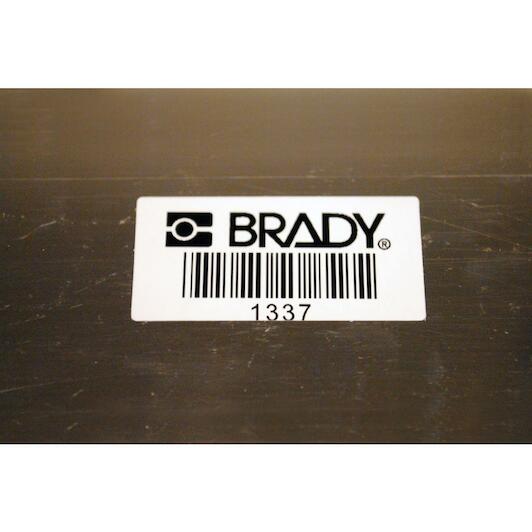 brady_030293_3