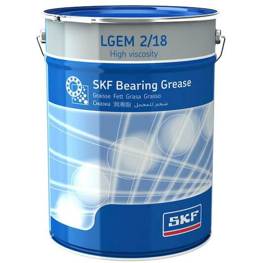 skf_lgem218