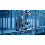 bosch_2608900533_6