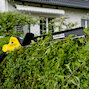 karcher_14442100_5