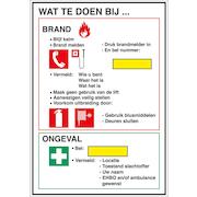 brady_223885