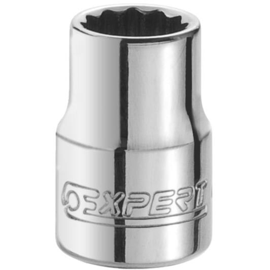 expert_e117053